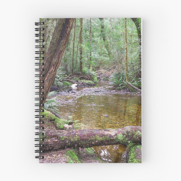 Item preview, Pond at Hogarth Falls designed and sold by Peter Edwards.