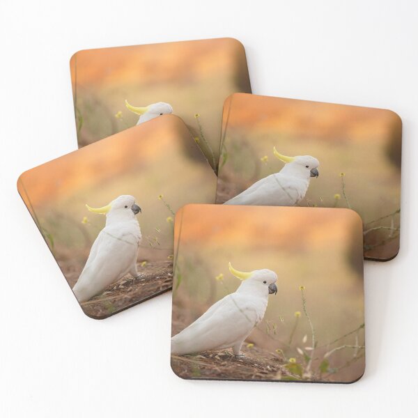 Item preview, Cockatoo Sunset designed and sold by Amy Dee.
