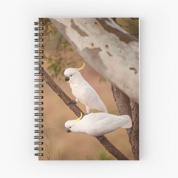 Item preview, Two Birds designed and sold by Amy Dee.