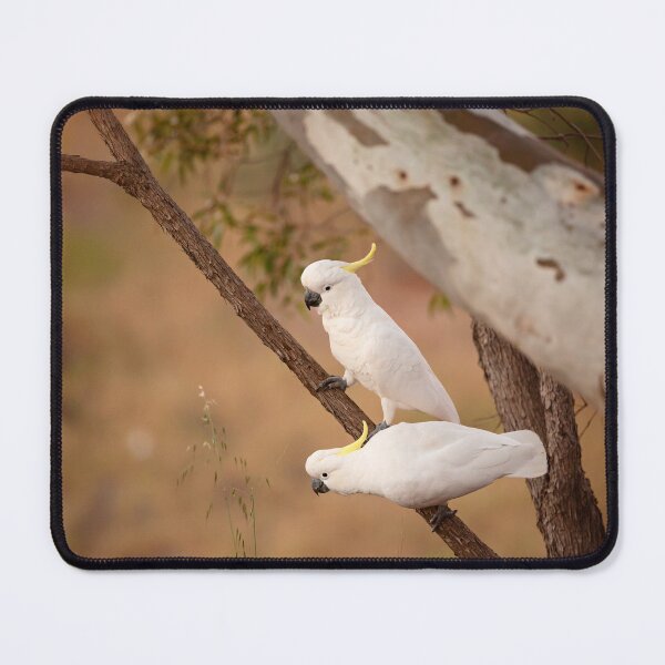 Item preview, Two Birds designed and sold by Amy Dee.