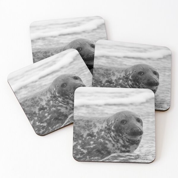 Item preview, Grey seal in the sea designed and sold by cdkphotos.