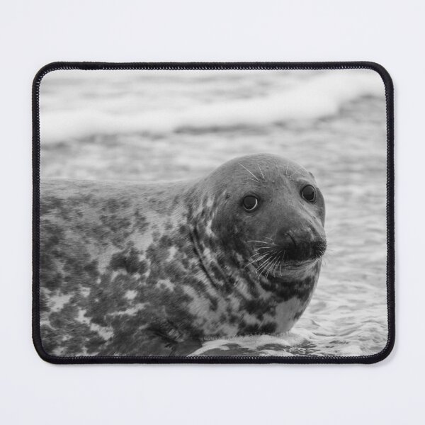 Item preview, Grey seal in the sea designed and sold by cdkphotos.