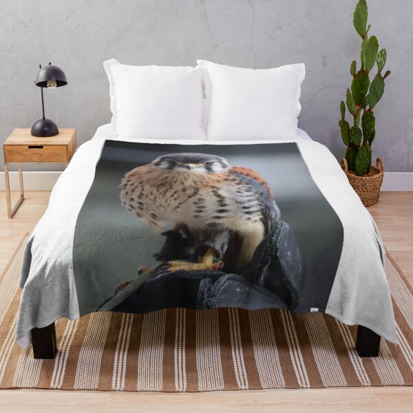 Item preview, American Kestrel designed and sold by MADowdPhotos.