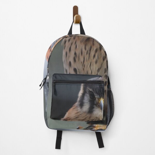 Item preview, American Kestrel designed and sold by MADowdPhotos.