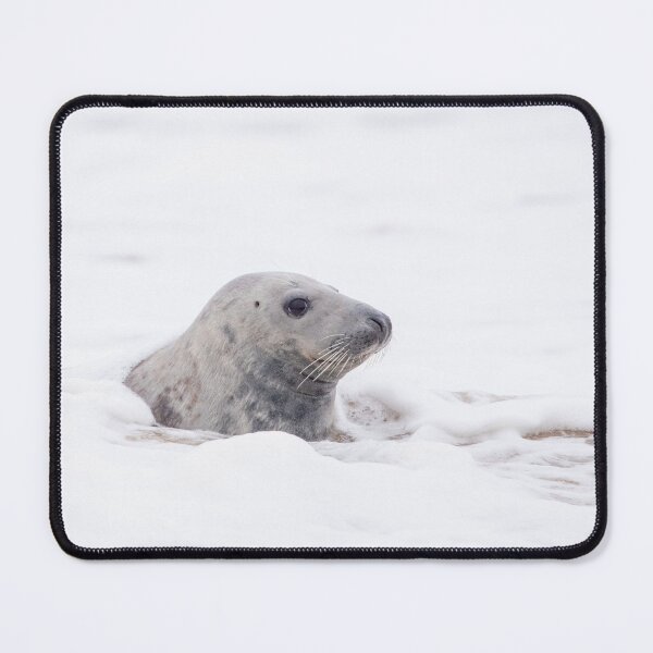 Item preview, Grey seal in the Norfolk sea designed and sold by cdkphotos.