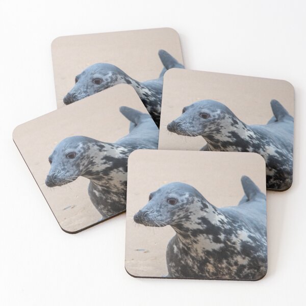Item preview, Sitting grey seal designed and sold by cdkphotos.