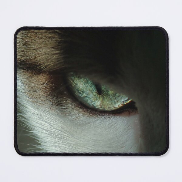 Item preview, Serious Cat Eye designed and sold by amirmax.