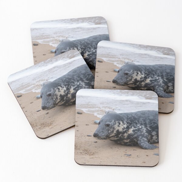 Item preview, Grey seal on the shore designed and sold by cdkphotos.