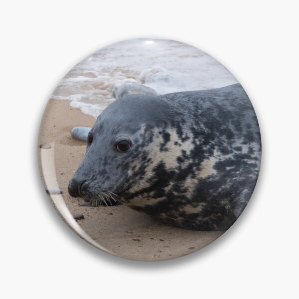 Item preview, Grey seal on the shore designed and sold by cdkphotos.