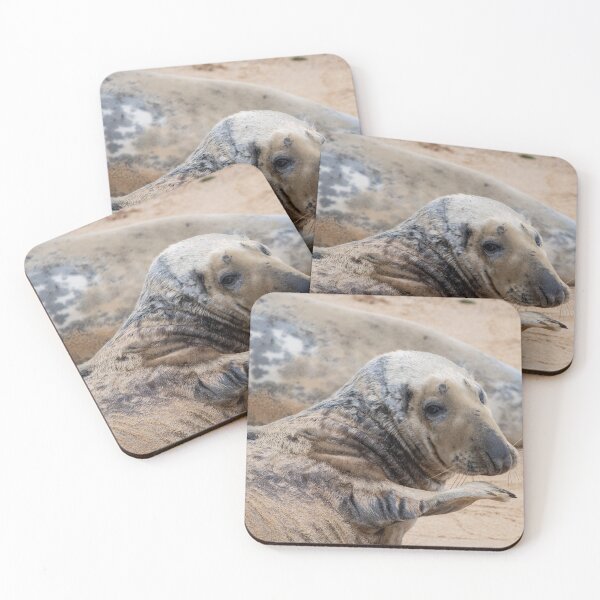 Item preview, Waving seal pup designed and sold by cdkphotos.