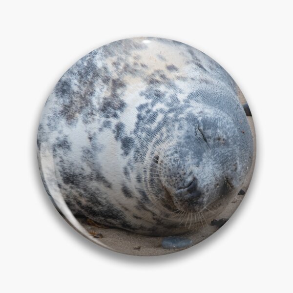 Item preview, Dozing seal pup designed and sold by cdkphotos.