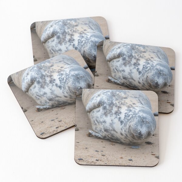 Item preview, Dozing seal pup designed and sold by cdkphotos.