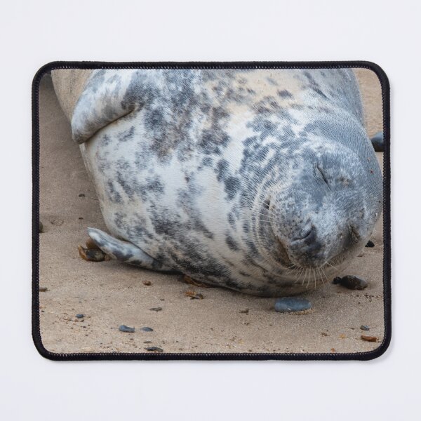Item preview, Dozing seal pup designed and sold by cdkphotos.