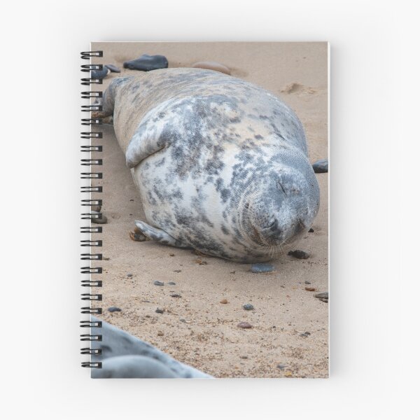 Item preview, Dozing seal pup designed and sold by cdkphotos.