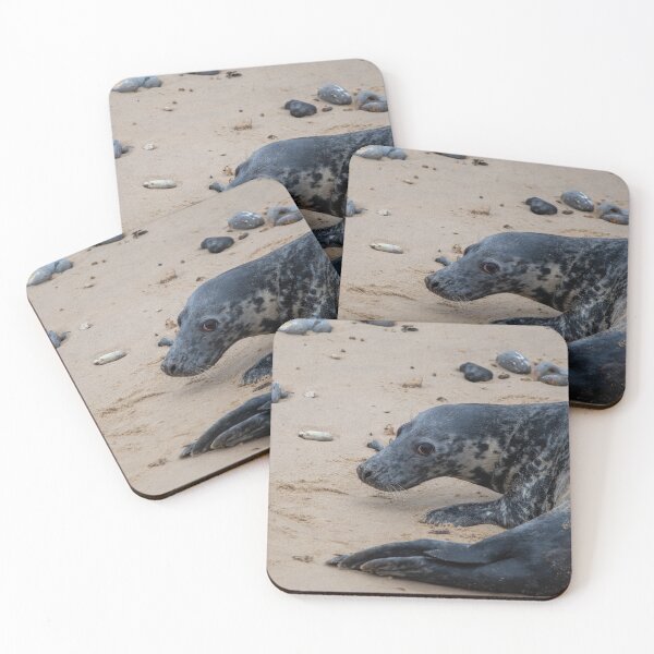 Item preview, Grey seal on the beach designed and sold by cdkphotos.