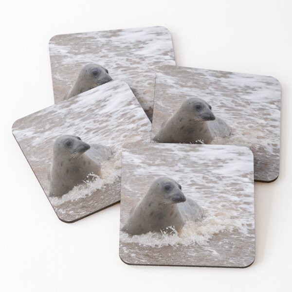 Item preview, Seal in the Norfolk sea designed and sold by cdkphotos.