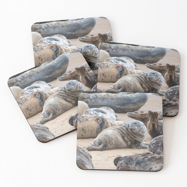 Item preview, Seals on the beach designed and sold by cdkphotos.