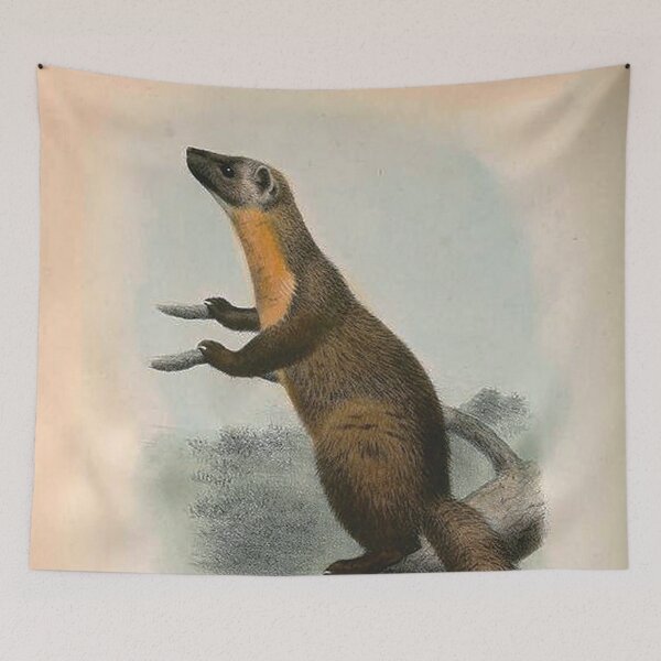 Item preview, Mammals Japanese Marten designed and sold by Geraldo Garcia.