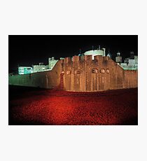 Poppies at the Tower of London - At Night #2 Photographic Print