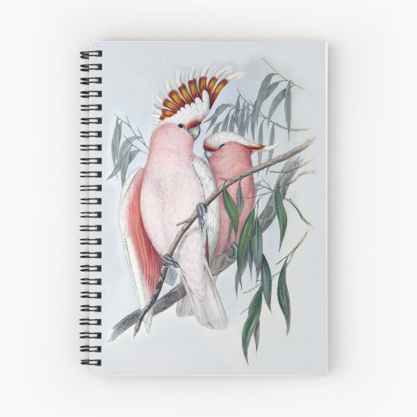 Item preview, Leadbeater's Cockatoo (Lophochroa leadbeater)  by John Gould (modified) designed and sold by TheCurators.