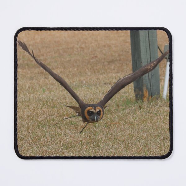 Item preview, Asian Brown Wood Owl Flying designed and sold by MADowdPhotos.