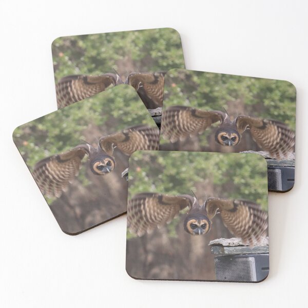 Item preview, Asian Brown Wood Owl Wings designed and sold by MADowdPhotos.