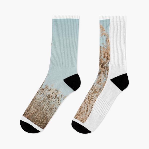 Item preview, Dry Reed Outdoor In Light Pastel Colors. Beige Reed Grass, Pampas Grass. Pampas Grass And Dry Reed Aesthetic Novelty Design designed and sold by Silver Medal.