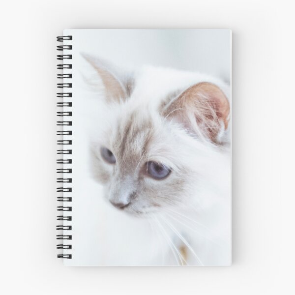 Item preview, White Cat 1 designed and sold by Lidia D'Opera Photographer.