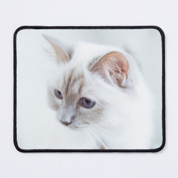 Item preview, White Cat 1 designed and sold by Lidia D'Opera Photographer.