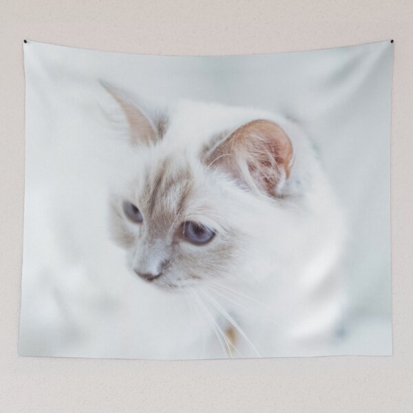 Item preview, White Cat 1 designed and sold by Lidia D'Opera Photographer.