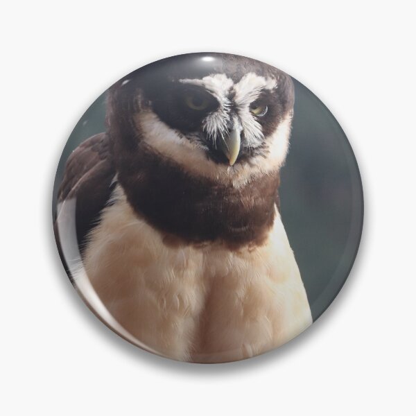 Item preview, Spectacled Owl designed and sold by MADowdPhotos.