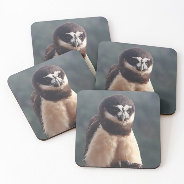 Item preview, Spectacled Owl designed and sold by MADowdPhotos.