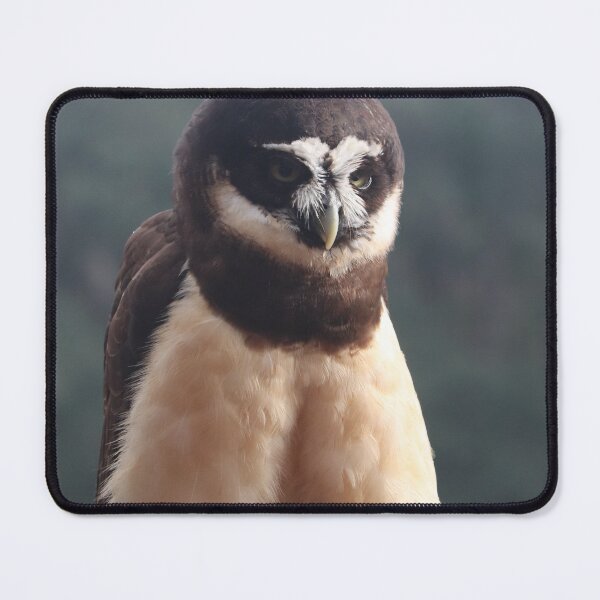 Item preview, Spectacled Owl designed and sold by MADowdPhotos.