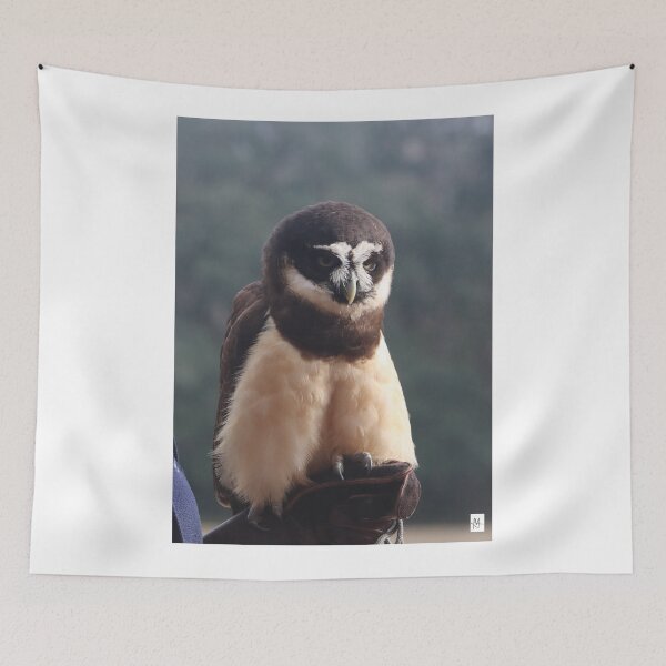 Item preview, Spectacled Owl designed and sold by MADowdPhotos.