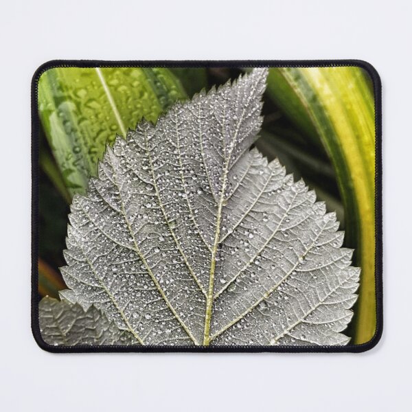 Item preview, One shade of grey on a rainy day.        designed and sold by Lorraine Lashley  - My Joy..