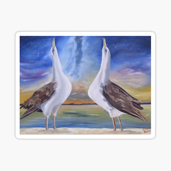 Laysan Albatross Waltz Sticker