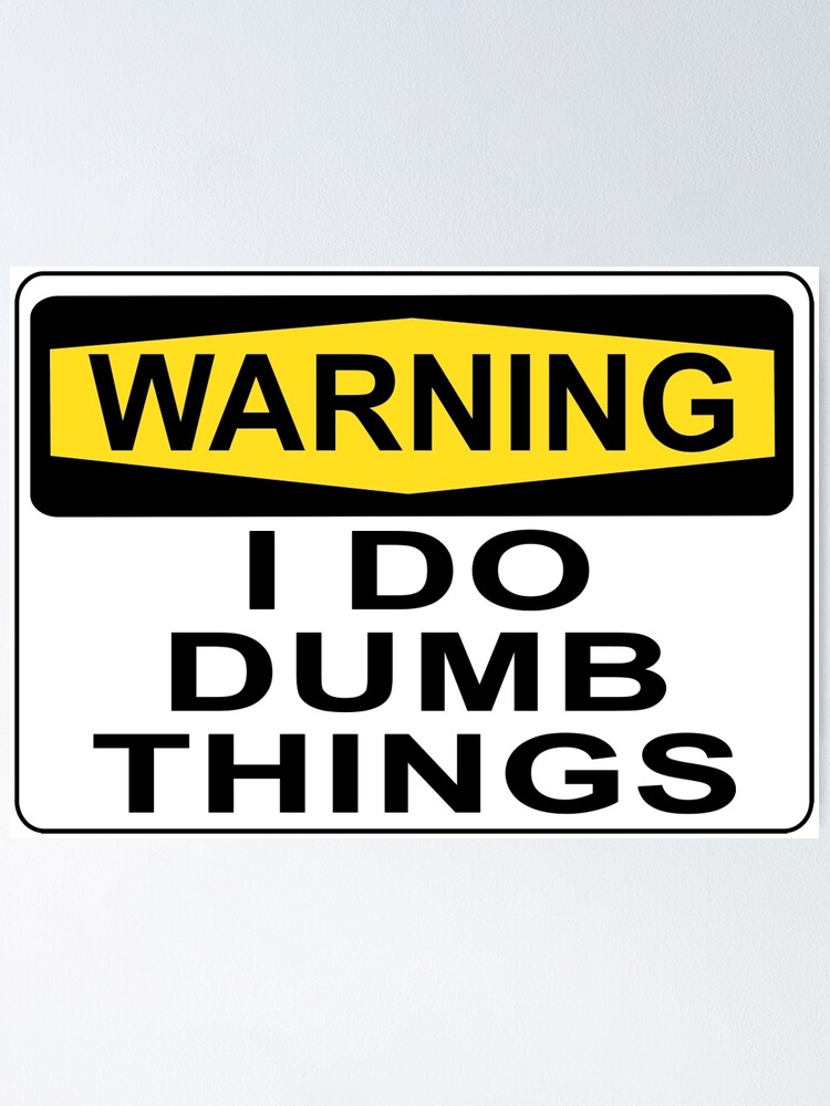 Warning I Do Dumb Things9 x 12 Novelty Plastic Sign