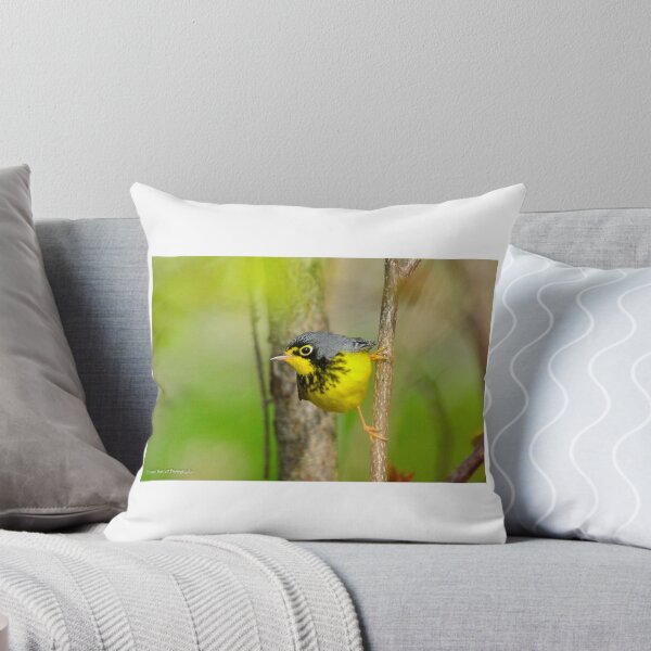 Aperçu de l'œuvre Canada Warbler créée et vendue par Nancy Barrett.