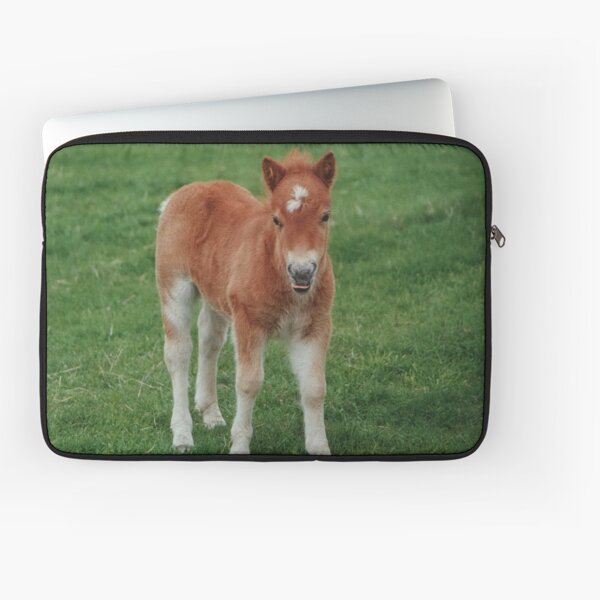 Item preview, Poney Shetland mignon designed and sold by AnnDixon.