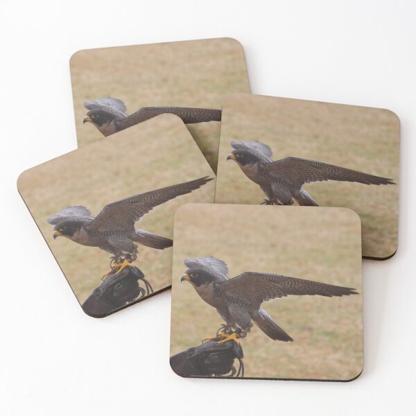 Item preview, Peregrine Falcon designed and sold by MADowdPhotos.