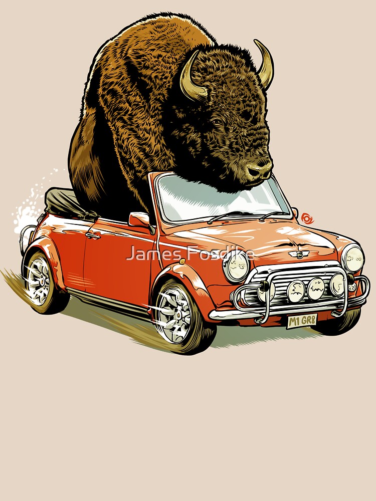 Bison in a Mini. by MrFoz