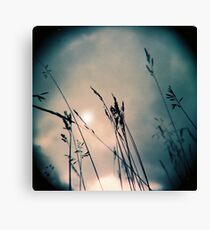 blades Canvas Print