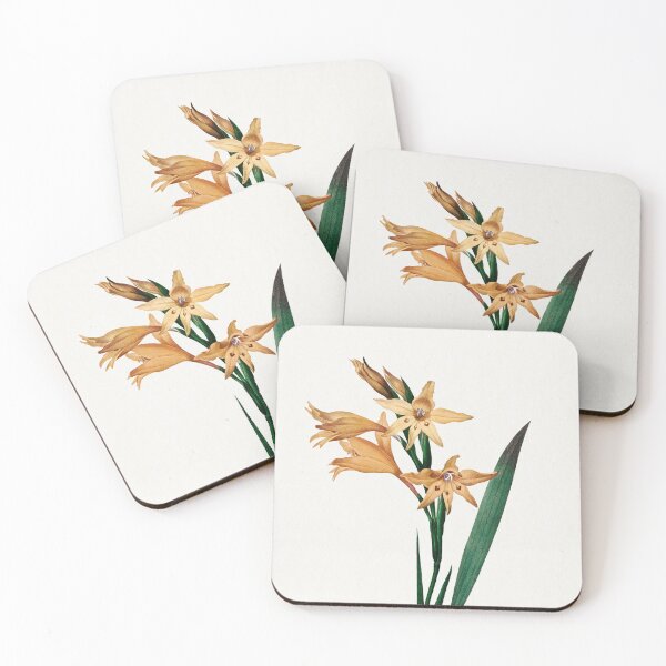 Item preview, Gladiolus by Pierre-Joseph Redouté - Great Arts designed and sold by InHerits.