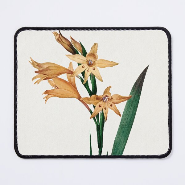 Item preview, Gladiolus by Pierre-Joseph Redouté - Great Arts designed and sold by InHerits.