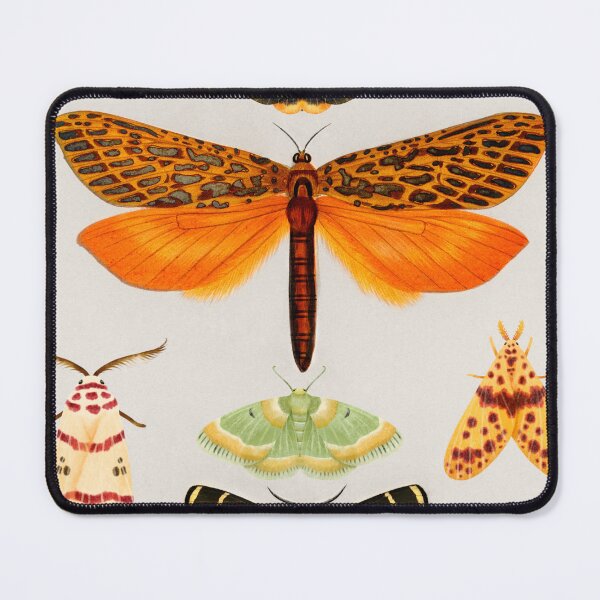 Item preview, Vintage Moths designed and sold by RheaRealm.