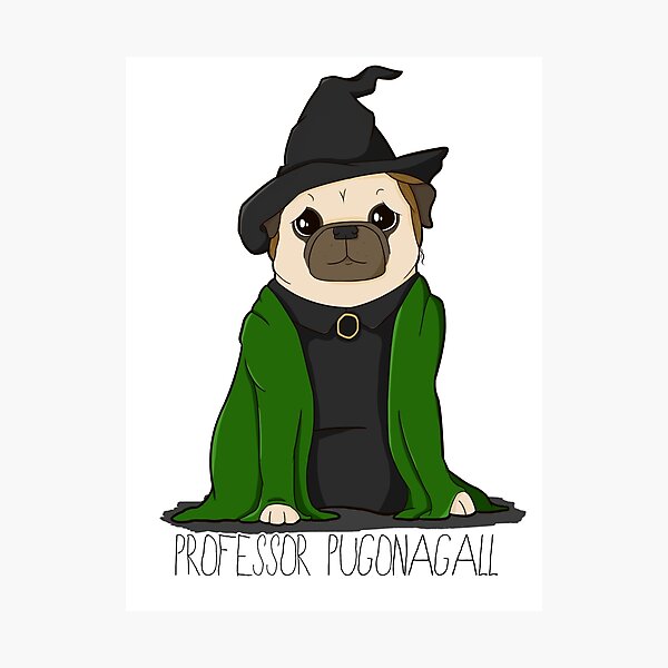Professor Pugonagall Photographic Print