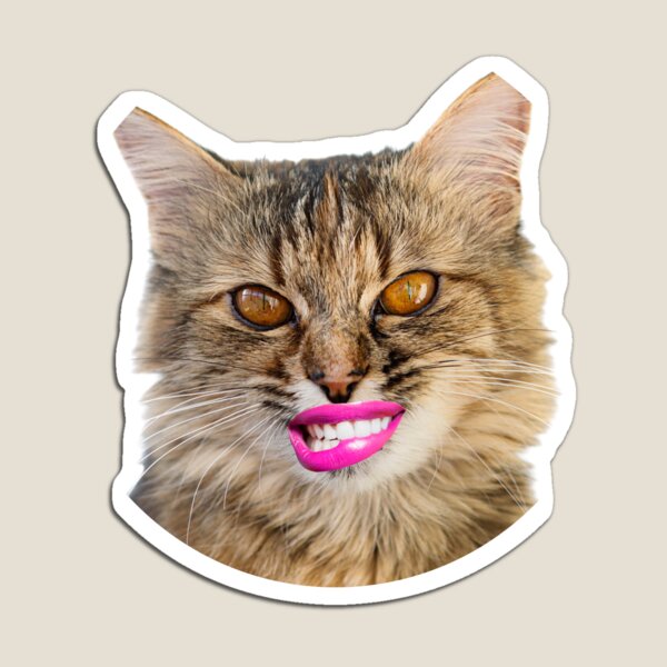 Copy of Cat Pfp , Funy cat Magnet for Sale by GaliaTati