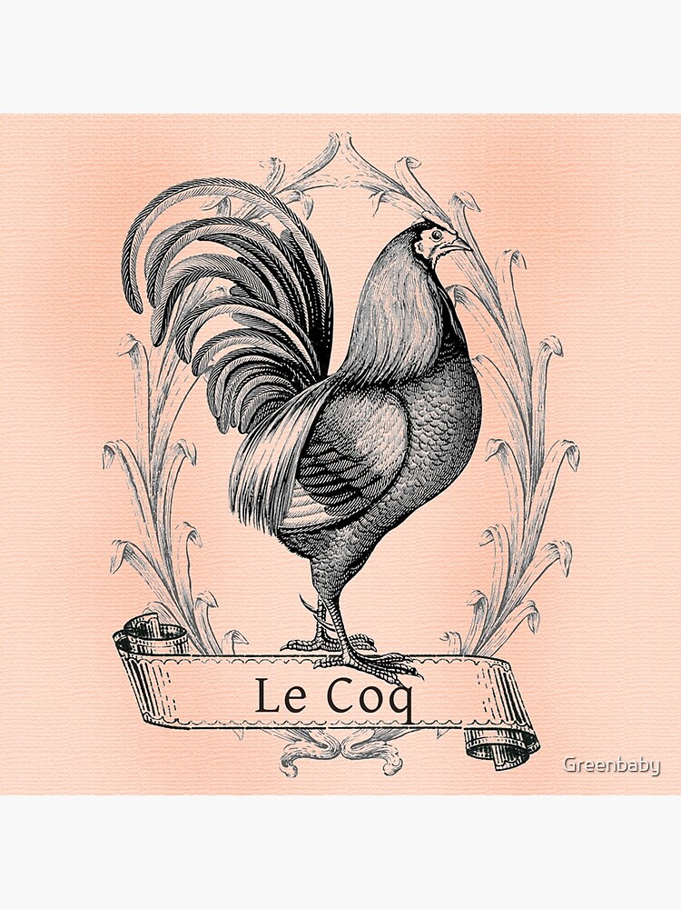 Le coq hotsell in french