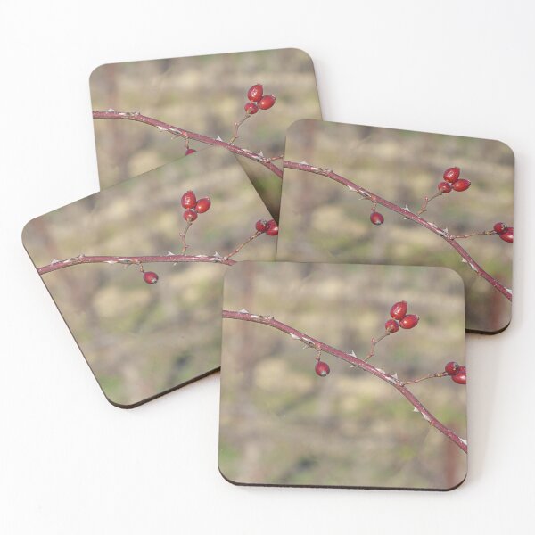 Item preview, Rose hips. designed and sold by Paul Pasco.