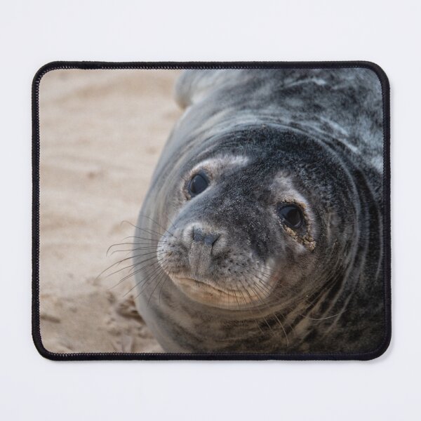 Item preview, Cute seal pup designed and sold by cdkphotos.